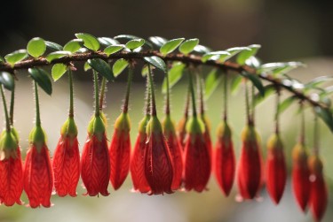 广州荔湾区1私人快速借钱网，轻松解决资金难题
