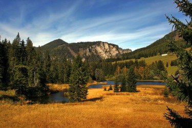 广州荔湾区1民间私贷攻略：揭秘低成本借贷的秘密