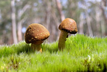 广州荔湾区1私人老板放款：轻松融资的秘密通道